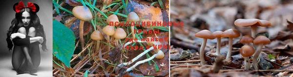 apvp Абдулино