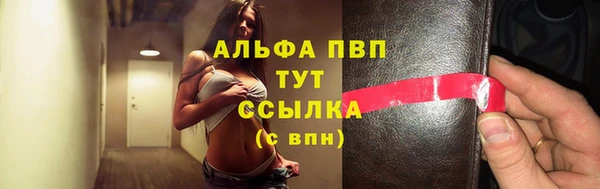 спиды Абаза