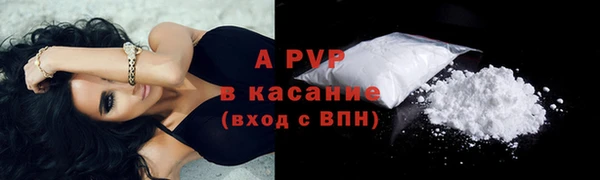 спиды Абаза