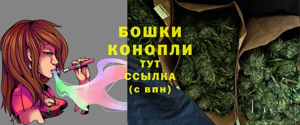 соль ск Дмитров